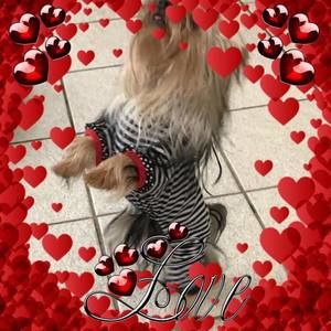 Meet your Posher, Leslie